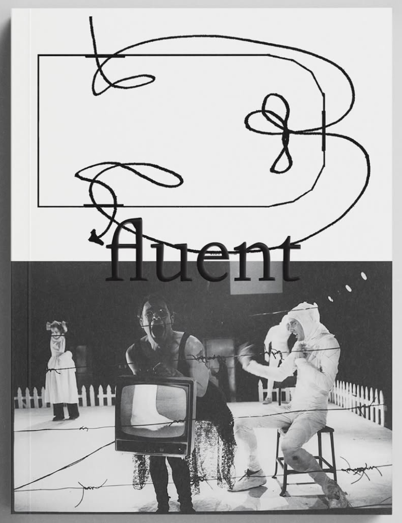  - FLUENT